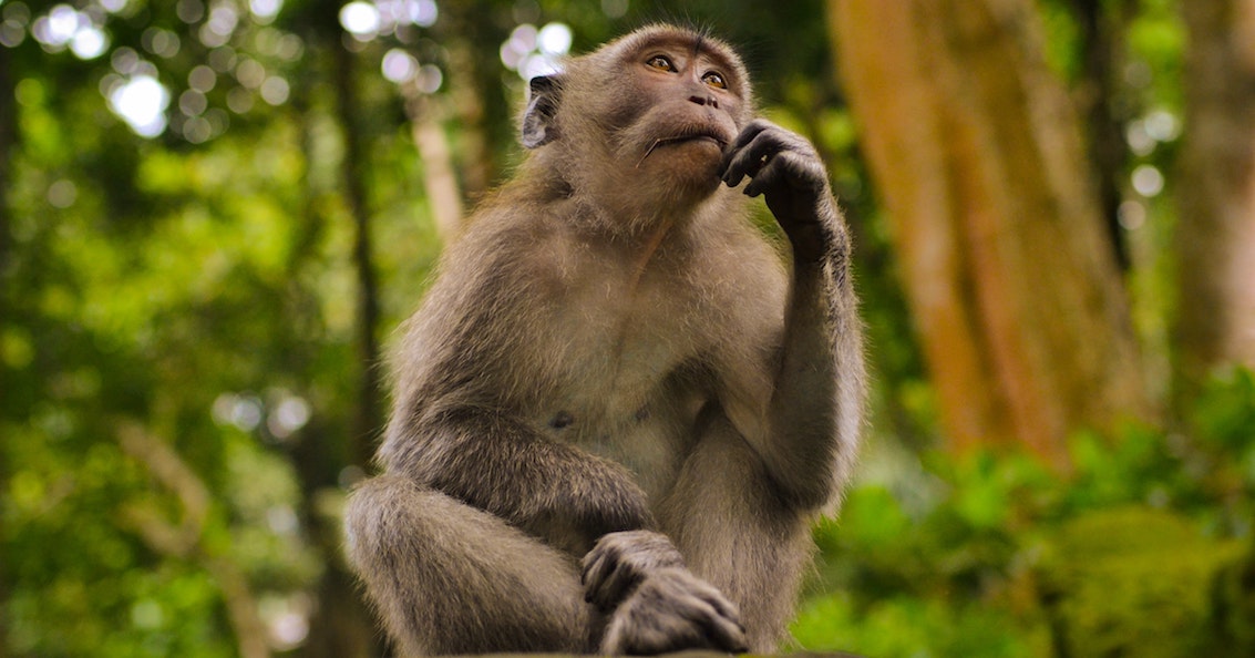 Should You Listen To Your Head Or Your Gut In Business