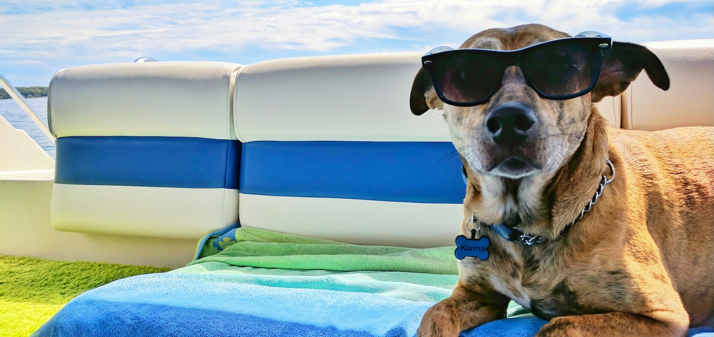 Image shows a dog sitting on a sun lounger whilst wearing sunglasses, looking chilled over the long holidays.